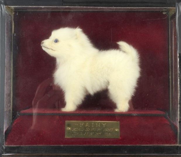 A Cosmopolitan Connection